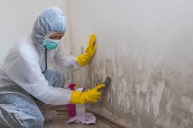 Best Commercial Mold Inspection  in La Huerta, NM